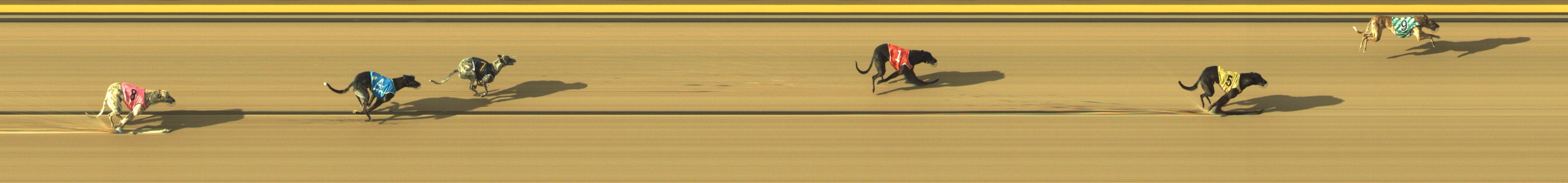 Race result finish photo